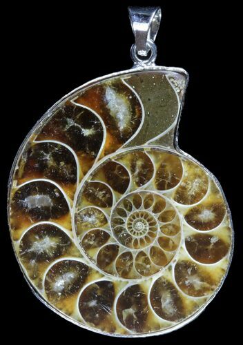 Fossil Ammonite Pendant - Million Years Old #89823